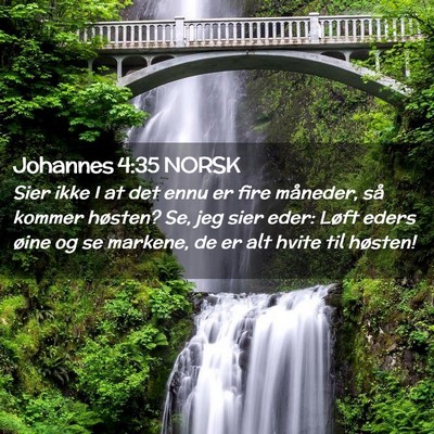 Picture 02 - Johannes 4:35 NORSK - Sier ikke I at det ennu er fire måneder, så - Bible Verse Picture