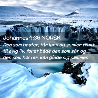 Picture 02 - Johannes 4:36 NORSK - Den som høster, får lønn og samler frukt til - Bible Verse Picture