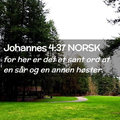 Picture 02 - Johannes 4:37 NORSK - for her er det et sant ord at en sår og en annen - Bible Verse Picture