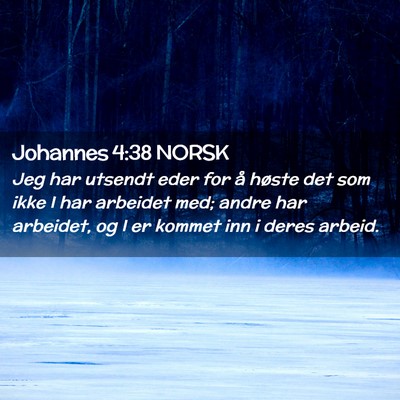 Picture 02 - Johannes 4:38 NORSK - Jeg har utsendt eder for å høste det som ikke I - Bible Verse Picture