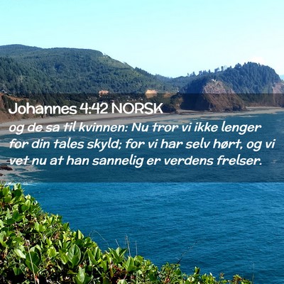 Picture 02 - Johannes 4:42 NORSK - og de sa til kvinnen: Nu tror vi ikke lenger for - Bible Verse Picture