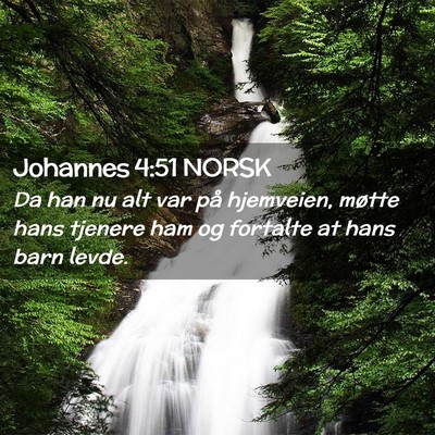 Picture 02 - Johannes 4:51 NORSK - Da han nu alt var på hjemveien, møtte hans - Bible Verse Picture