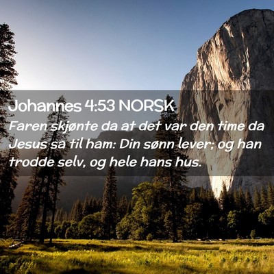 Picture 02 - Johannes 4:53 NORSK - Faren skjønte da at det var den time da Jesus sa - Bible Verse Picture