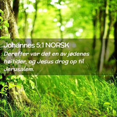 Picture 02 - Johannes 5:1 NORSK - Derefter var det en av jødenes høitider, og - Bible Verse Picture