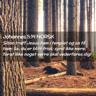 Picture 02 - Johannes 5:14 NORSK - Siden traff Jesus ham i templet og sa til ham: - Bible Verse Picture