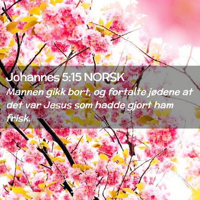 Picture 02 - Johannes 5:15 NORSK - Mannen gikk bort, og fortalte jødene at det var - Bible Verse Picture