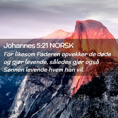 Picture 02 - Johannes 5:21 NORSK - For likesom Faderen opvekker de døde og gjør - Bible Verse Picture