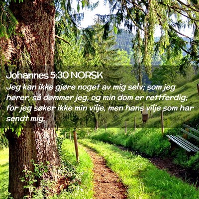 Picture 02 - Johannes 5:30 NORSK - Jeg kan ikke gjøre noget av mig selv; som jeg - Bible Verse Picture