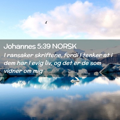 Picture 02 - Johannes 5:39 NORSK - I ransaker skriftene, fordi I tenker at i dem har - Bible Verse Picture