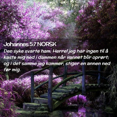 Picture 02 - Johannes 5:7 NORSK - Den syke svarte ham: Herre! jeg har ingen til å - Bible Verse Picture