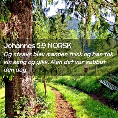 Picture 02 - Johannes 5:9 NORSK - Og straks blev mannen frisk og han tok sin seng - Bible Verse Picture