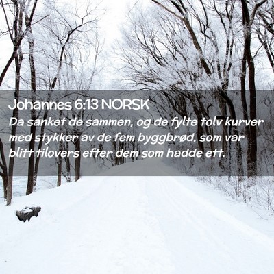 Picture 02 - Johannes 6:13 NORSK - Da sanket de sammen, og de fylte tolv kurver med - Bible Verse Picture