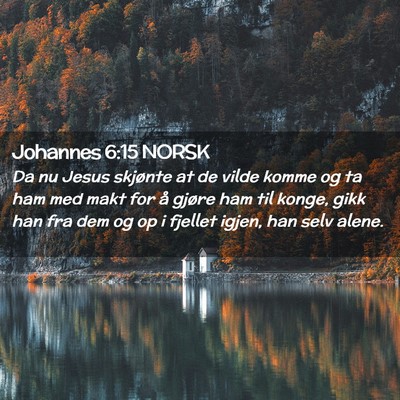 Picture 02 - Johannes 6:15 NORSK - Da nu Jesus skjønte at de vilde komme og ta ham - Bible Verse Picture