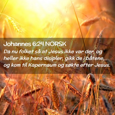 Picture 02 - Johannes 6:24 NORSK - Da nu folket så at Jesus ikke var der, og heller - Bible Verse Picture