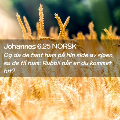 Picture 02 - Johannes 6:25 NORSK - Og da de fant ham på hin side av sjøen, sa de - Bible Verse Picture