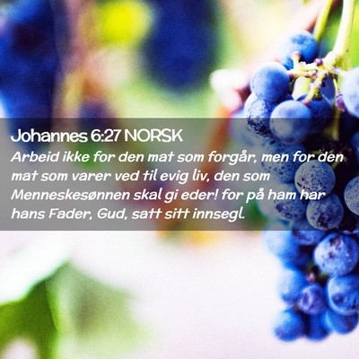 Picture 02 - Johannes 6:27 NORSK - Arbeid ikke for den mat som forgår, men for den - Bible Verse Picture
