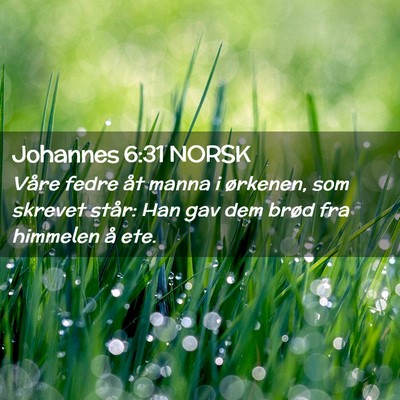 Picture 02 - Johannes 6:31 NORSK - Våre fedre åt manna i ørkenen, som skrevet - Bible Verse Picture