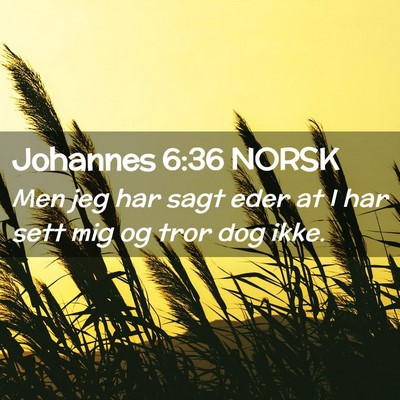 Picture 02 - Johannes 6:36 NORSK - Men jeg har sagt eder at I har sett mig og tror - Bible Verse Picture