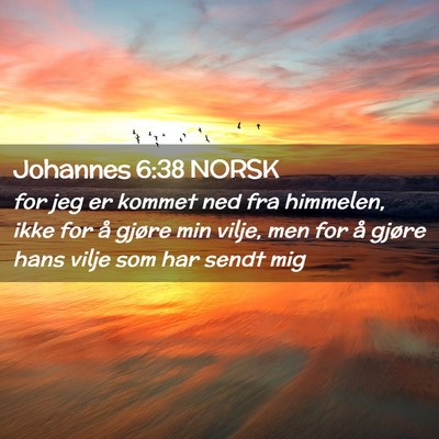 Picture 02 - Johannes 6:38 NORSK - for jeg er kommet ned fra himmelen, ikke for å - Bible Verse Picture