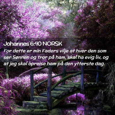 Picture 02 - Johannes 6:40 NORSK - For dette er min Faders vilje at hver den som ser - Bible Verse Picture