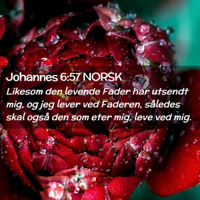 Picture 02 - Johannes 6:57 NORSK - Likesom den levende Fader har utsendt mig, og jeg - Bible Verse Picture