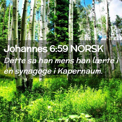 Picture 02 - Johannes 6:59 NORSK - Dette sa han mens han lærte i en synagoge i - Bible Verse Picture