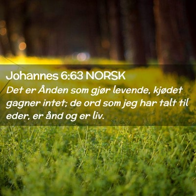 Picture 02 - Johannes 6:63 NORSK - Det er Ånden som gjør levende, kjødet gagner - Bible Verse Picture
