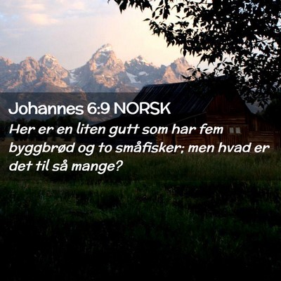 Picture 02 - Johannes 6:9 NORSK - Her er en liten gutt som har fem byggbrød og to - Bible Verse Picture