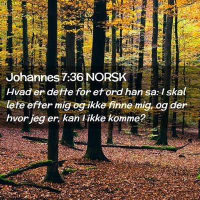 Picture 02 - Johannes 7:36 NORSK - Hvad er dette for et ord han sa: I skal lete - Bible Verse Picture