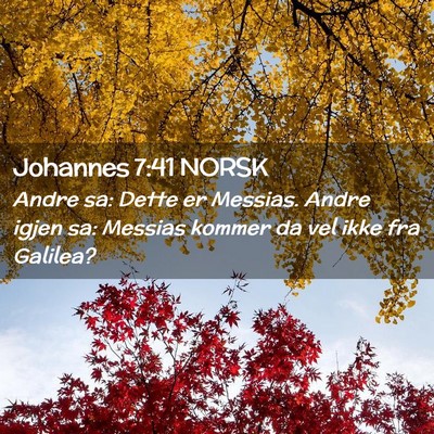 Picture 02 - Johannes 7:41 NORSK - Andre sa: Dette er Messias. Andre igjen sa: - Bible Verse Picture