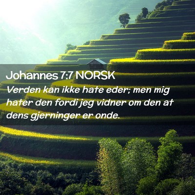 Picture 02 - Johannes 7:7 NORSK - Verden kan ikke hate eder; men mig hater den - Bible Verse Picture