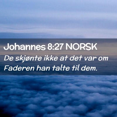 Picture 02 - Johannes 8:27 NORSK - De skjønte ikke at det var om Faderen han talte - Bible Verse Picture