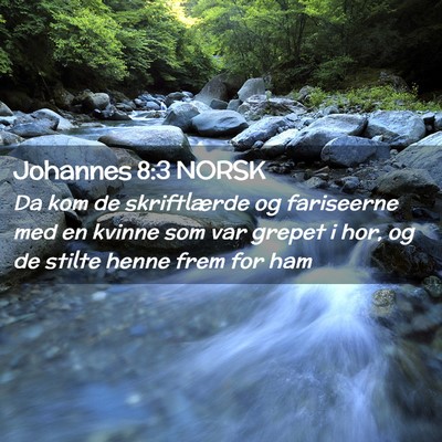 Picture 02 - Johannes 8:3 NORSK - Da kom de skriftlærde og fariseerne med en - Bible Verse Picture