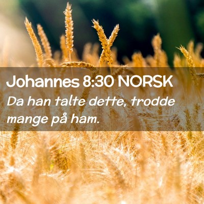 Picture 02 - Johannes 8:30 NORSK - Da han talte dette, trodde mange på - Bible Verse Picture