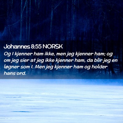 Picture 02 - Johannes 8:55 NORSK - Og I kjenner ham ikke, men jeg kjenner ham; og om - Bible Verse Picture