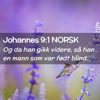 Picture 02 - Johannes 9:1 NORSK - Og da han gikk videre, så han en mann som var - Bible Verse Picture