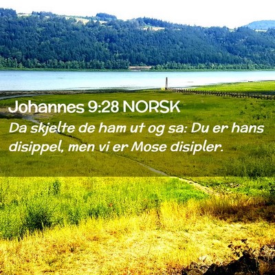 Picture 02 - Johannes 9:28 NORSK - Da skjelte de ham ut og sa: Du er hans disippel, - Bible Verse Picture