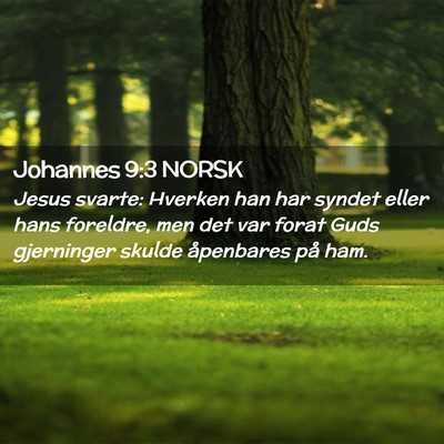 Picture 02 - Johannes 9:3 NORSK - Jesus svarte: Hverken han har syndet eller hans - Bible Verse Picture