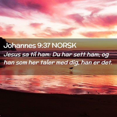 Picture 02 - Johannes 9:37 NORSK - Jesus sa til ham: Du har sett ham; og han som her - Bible Verse Picture