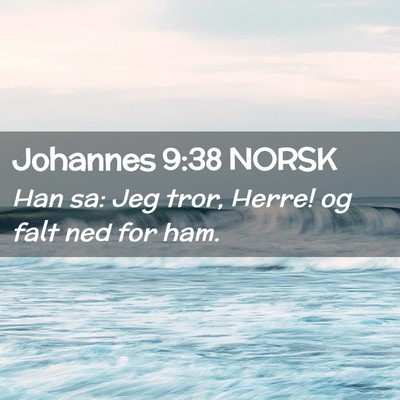 Picture 02 - Johannes 9:38 NORSK - Han sa: Jeg tror, Herre! og falt ned for - Bible Verse Picture