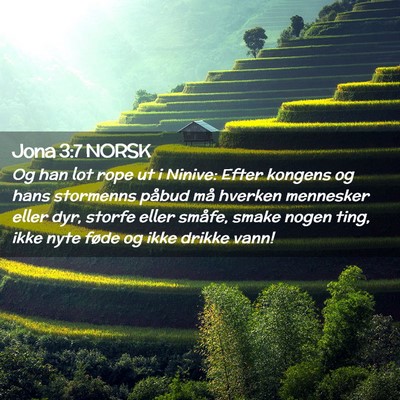 Picture 02 - Jona 3:7 NORSK - Og han lot rope ut i Ninive: Efter kongens og - Bible Verse Picture