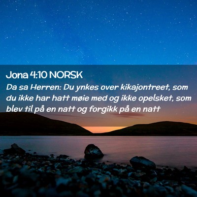 Picture 02 - Jona 4:10 NORSK - Da sa Herren: Du ynkes over kikajontreet, som du - Bible Verse Picture