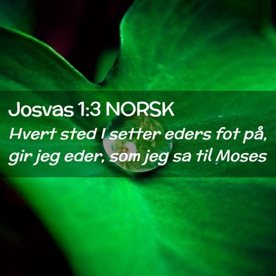 Picture 02 - Josvas 1:3 NORSK - Hvert sted I setter eders fot på, gir jeg eder, - Bible Verse Picture