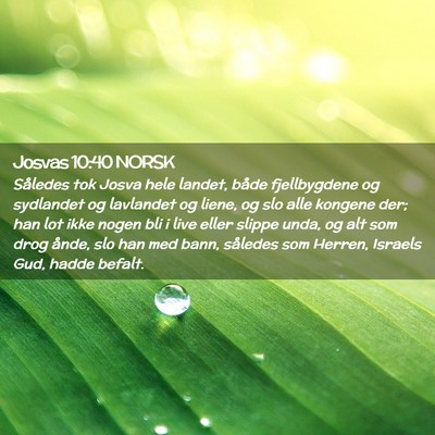 Picture 02 - Josvas 10:40 NORSK - Således tok Josva hele landet, både - Bible Verse Picture