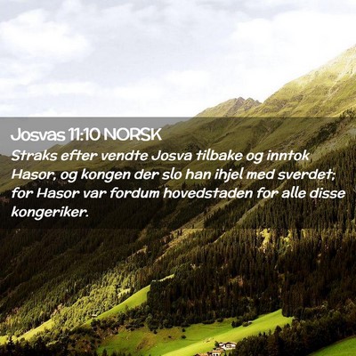 Picture 02 - Josvas 11:10 NORSK - Straks efter vendte Josva tilbake og inntok - Bible Verse Picture
