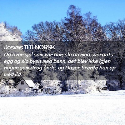Picture 02 - Josvas 11:11 NORSK - Og hver sjel som var der, slo de med sverdets egg - Bible Verse Picture