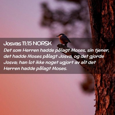Picture 02 - Josvas 11:15 NORSK - Det som Herren hadde pålagt Moses, sin tjener, - Bible Verse Picture