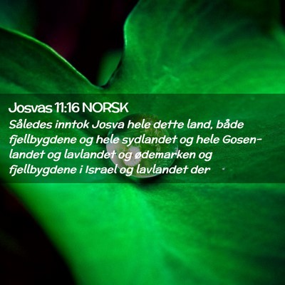 Picture 02 - Josvas 11:16 NORSK - Således inntok Josva hele dette land, både - Bible Verse Picture
