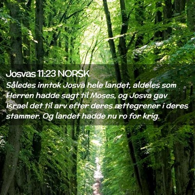 Picture 02 - Josvas 11:23 NORSK - Således inntok Josva hele landet, aldeles som - Bible Verse Picture
