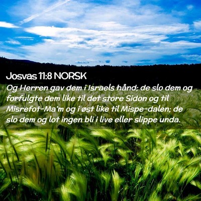Picture 02 - Josvas 11:8 NORSK - Og Herren gav dem i Israels hånd; de slo dem og - Bible Verse Picture